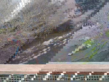 Shared Accommodation Le Plessis-Robinson 661918-4