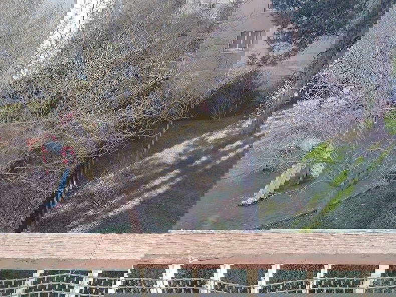 Colocation Le Plessis-Robinson 661918-4