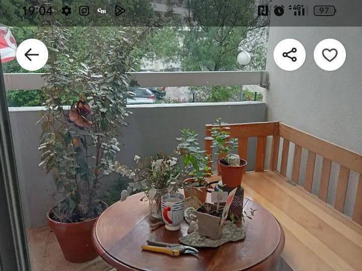 Famiglia Montpellier 659457-3