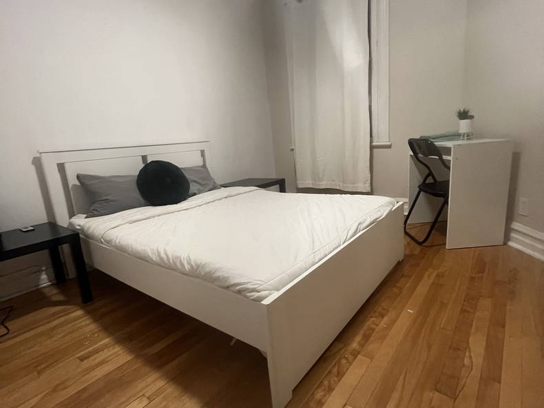 Kolokation Montréal 635074-1