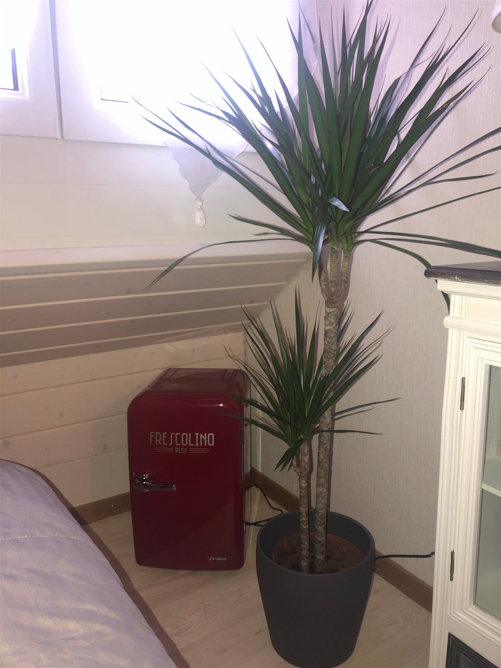 Chambre Chez L'habitant Mex 242824