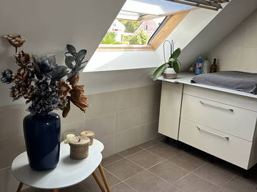 Chambre chez l'habitant à louer à Ploeren - photo 4 : salle de bain-4