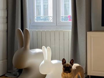 Chambre chez l'habitant à louer à Lyon - photo 8 : autre pièce-8