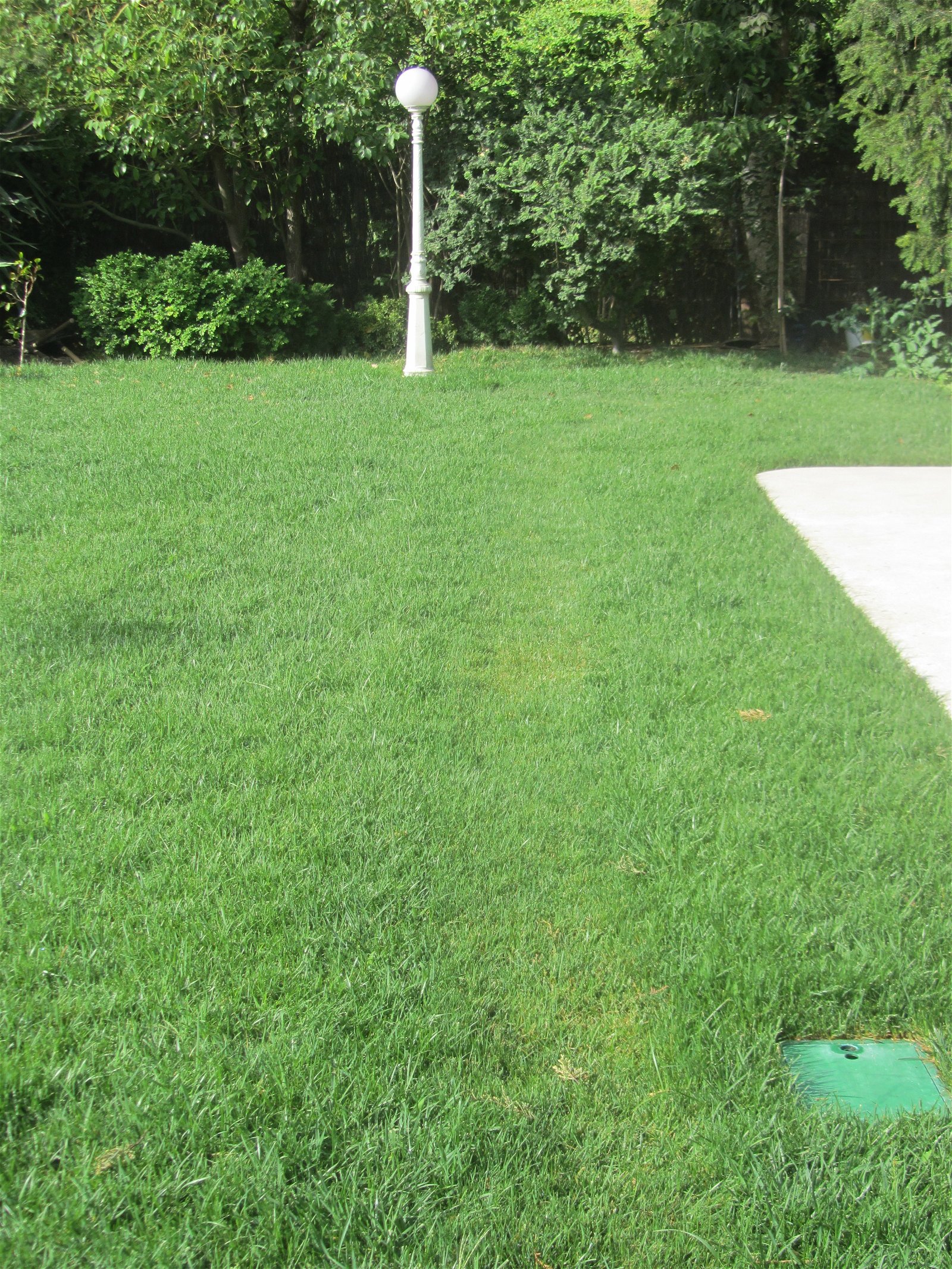 Colocation Alcobendas 235219