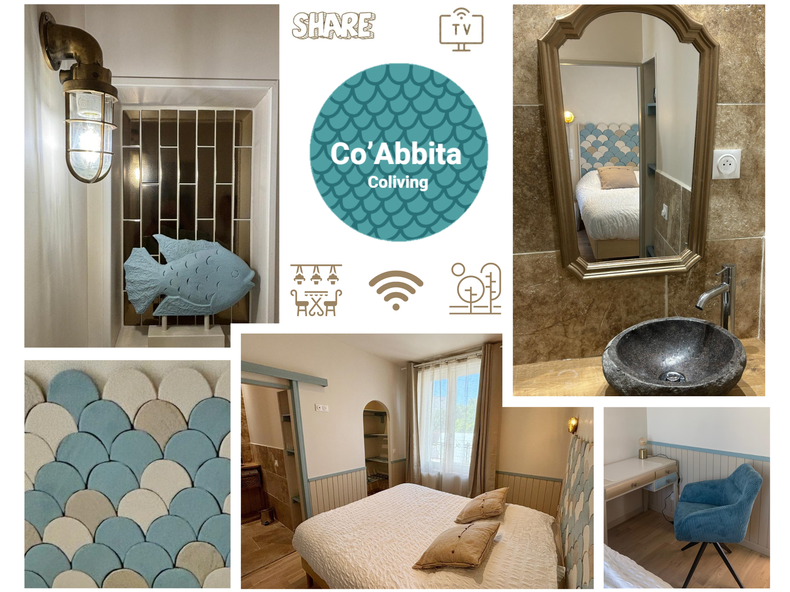 Colocation Abbeville 446972-1