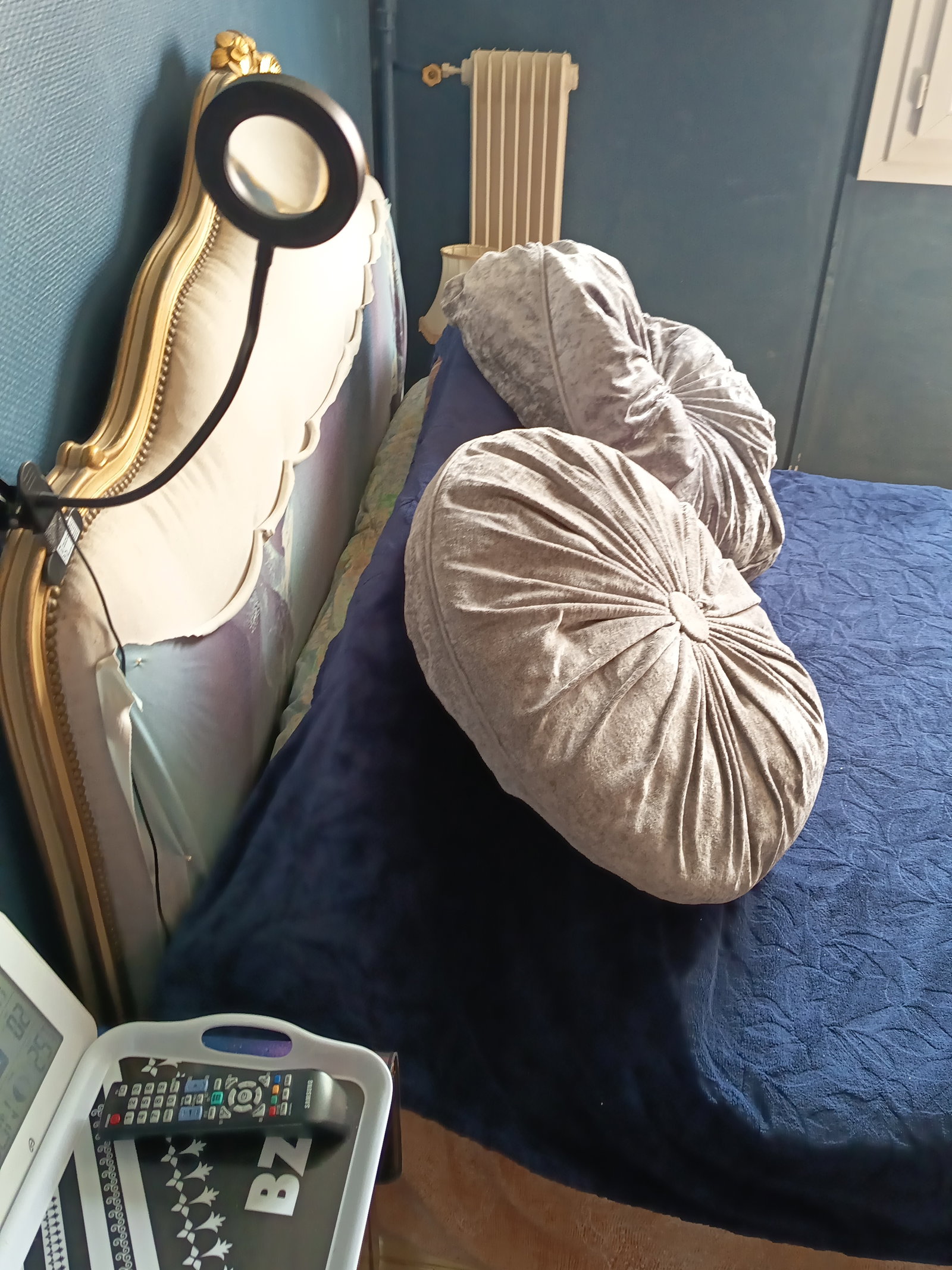 Chambre Chez L'habitant Rennes 283584