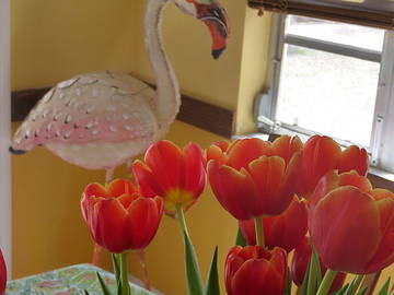 Chambre Chez L'habitant Miami 90962-5