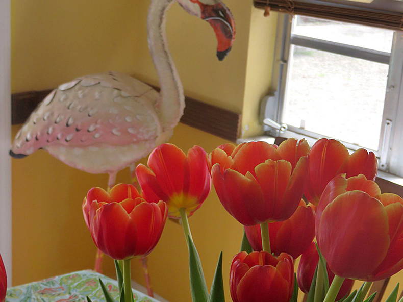 Chambre Chez L'habitant Miami 90962-5