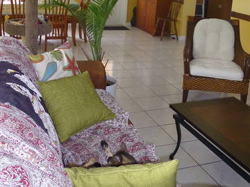 Chambre Chez L'habitant Miami 90962-6