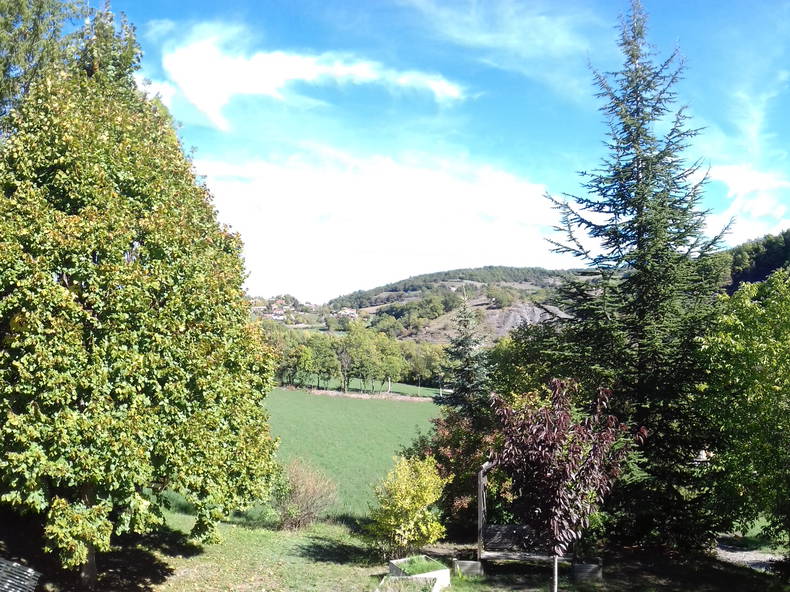 Gastfamilie Gap 252337-5