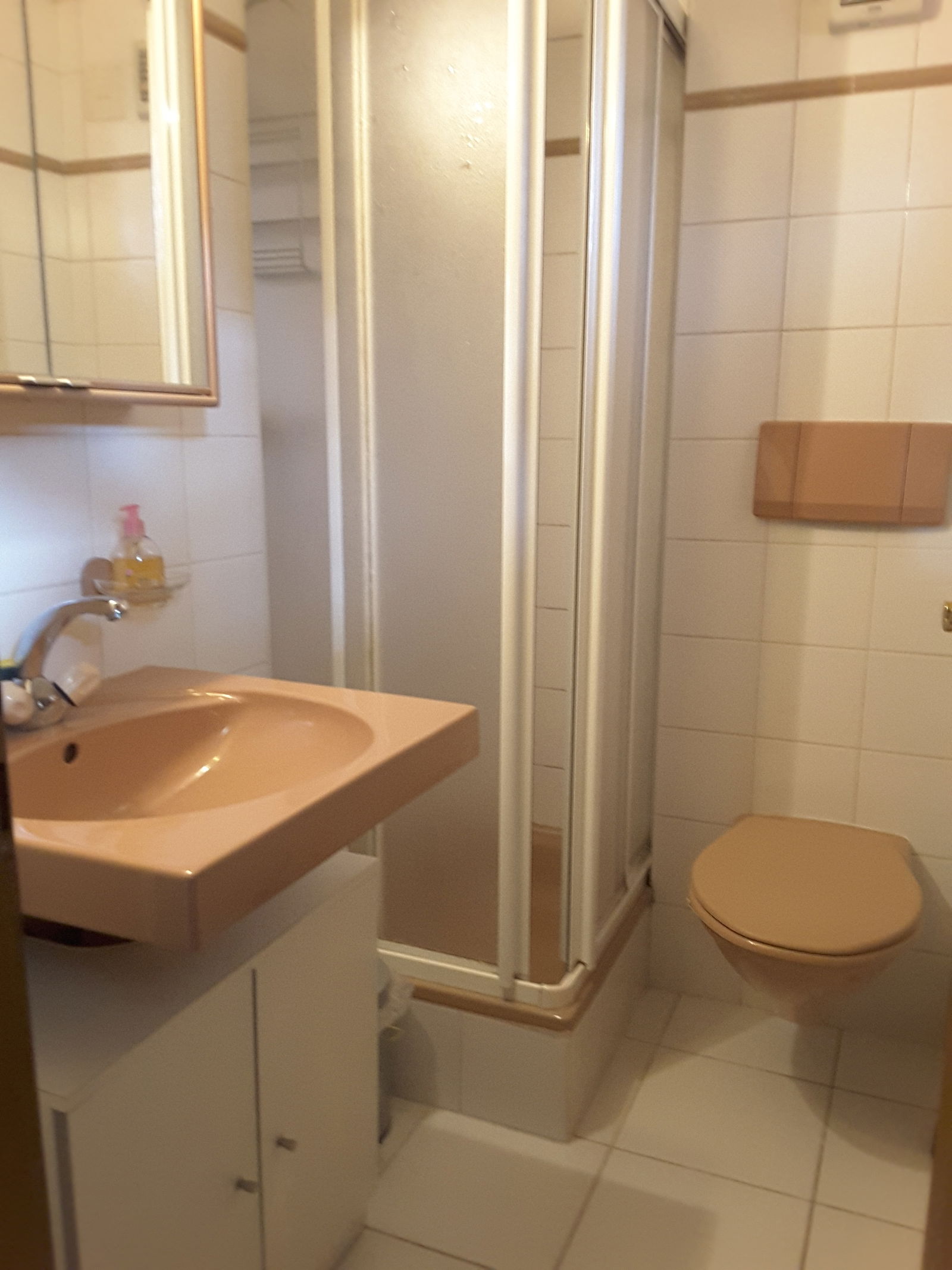 Chambre Chez L'habitant Onex 67917