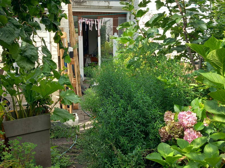 Colocation Namur 117560-4