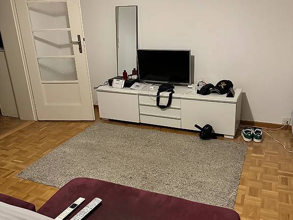 Homestay Genève 435509-1