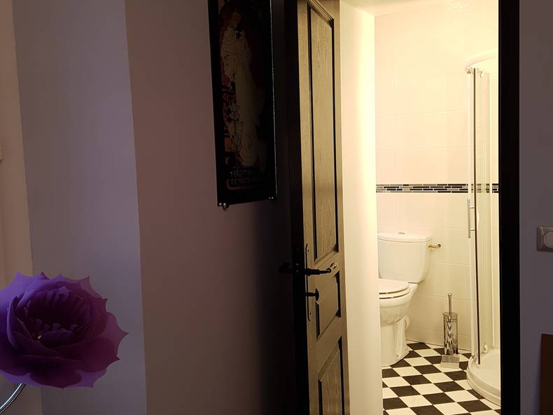 Chambre Chez L'habitant Traînel 255632-4