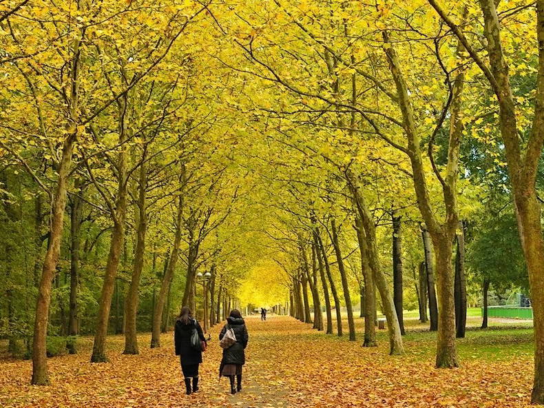 Homestay Évry 54260-4