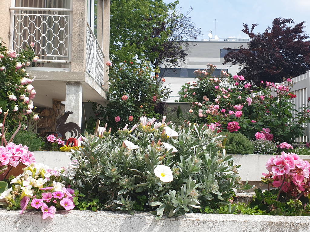 Quedarse En Casa Champigny-sur-Marne 662800-1