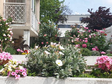 Chambre Chez L'habitant Champigny-Sur-Marne 662800-1