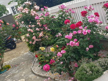 Chambre Chez L'habitant Champigny-Sur-Marne 662800-2