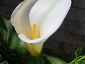 Chambre Chez L'habitant Champigny-Sur-Marne 662800-21