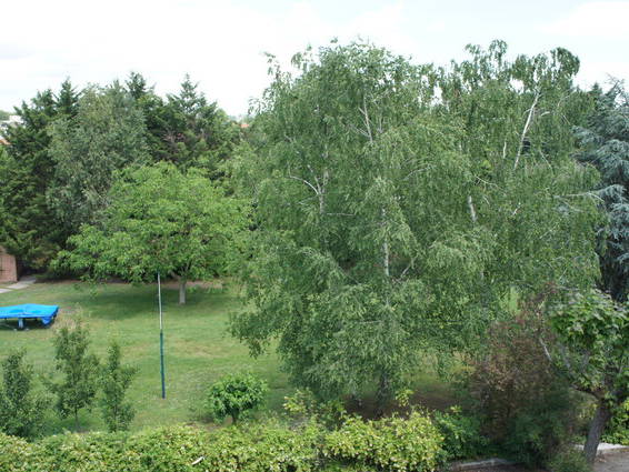 Tuisverblyf Toulouse 25742-1