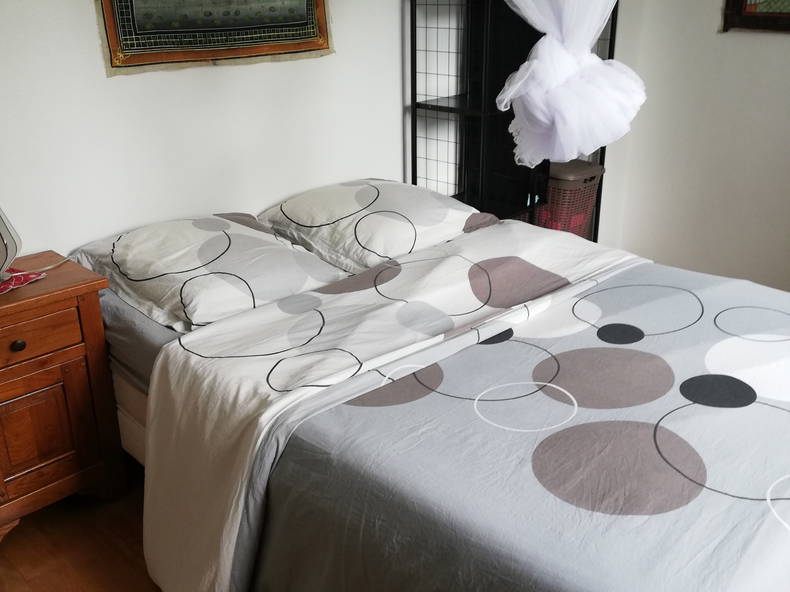 Chambre Chez L'habitant Chaveignes 225669-1