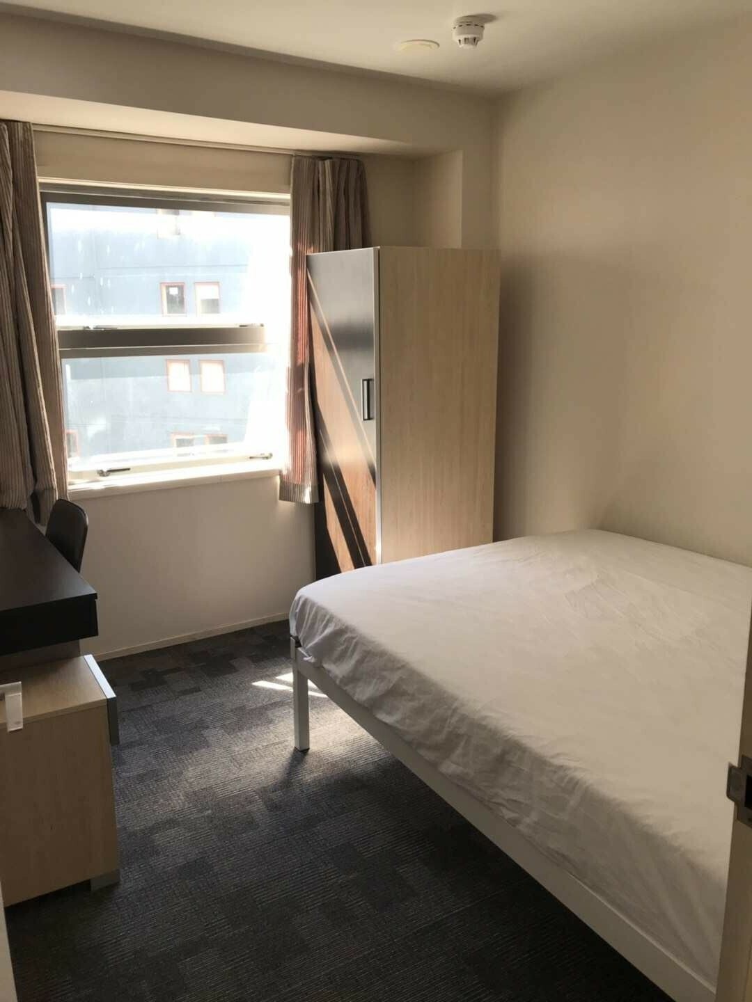 Chambre Chez L'habitant Auckland 249276