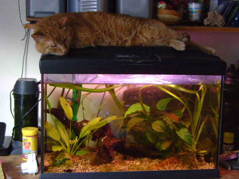 Quedarse En Casa Saint-Mandé 118234-1