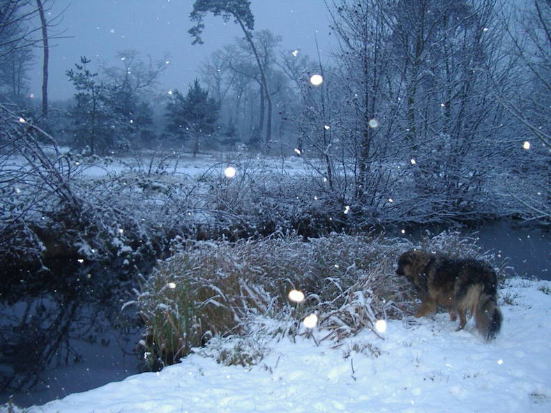 Quedarse En Casa Saint-Mandé 118234-4