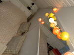 Shared Accommodation Labenne 249939