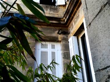 Chambre Chez L'habitant Bordeaux 240094-6