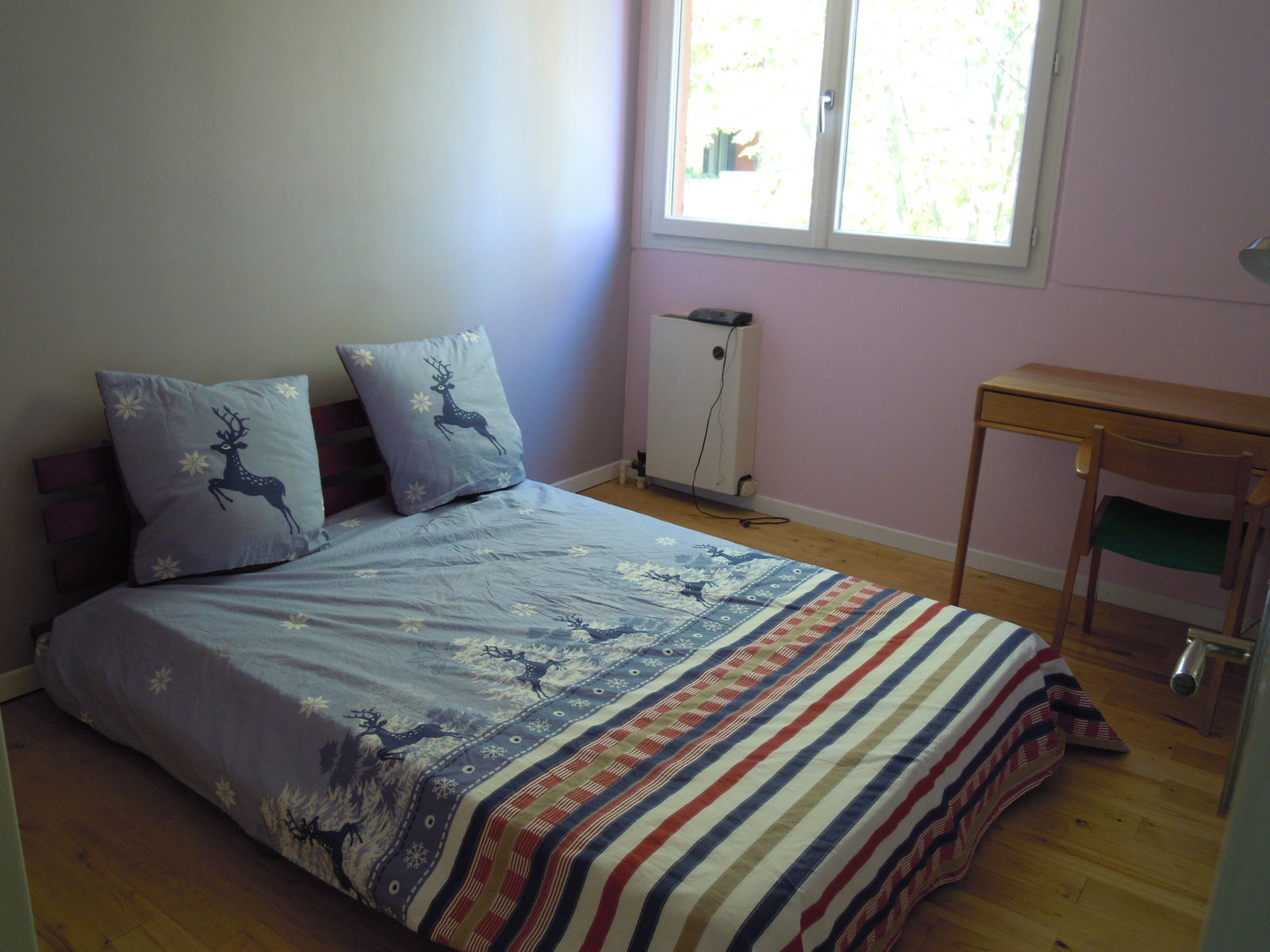 Chambre Chez L'habitant Blagnac 147638