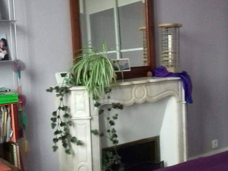 Gastfamilie Le Bourget 238233-4