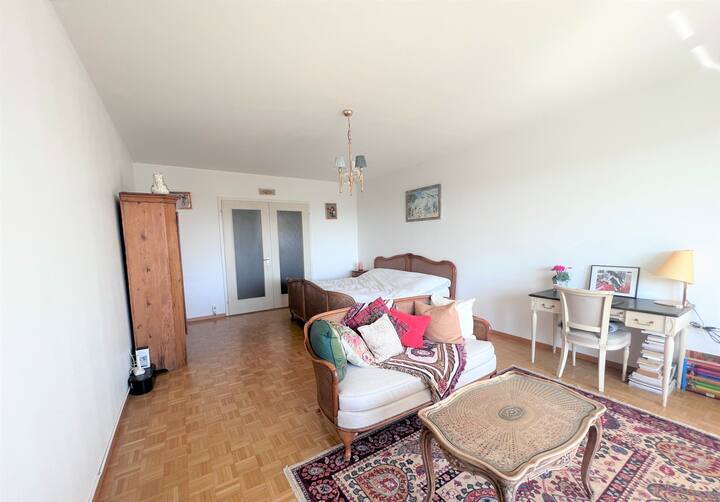 Chambre Chez L'habitant Versoix 258647