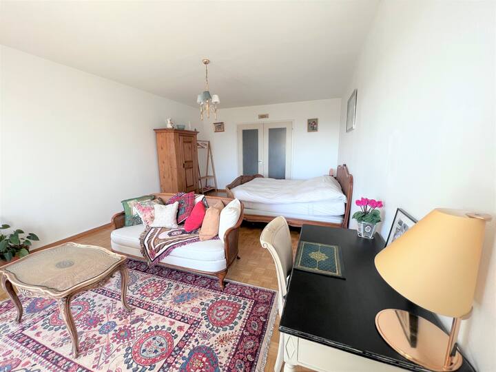 Chambre Chez L'habitant Versoix 258647