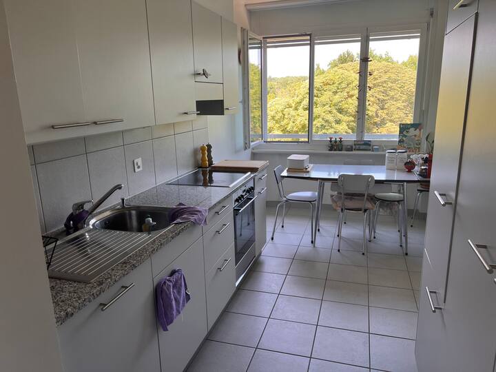 Chambre Chez L'habitant Versoix 258647