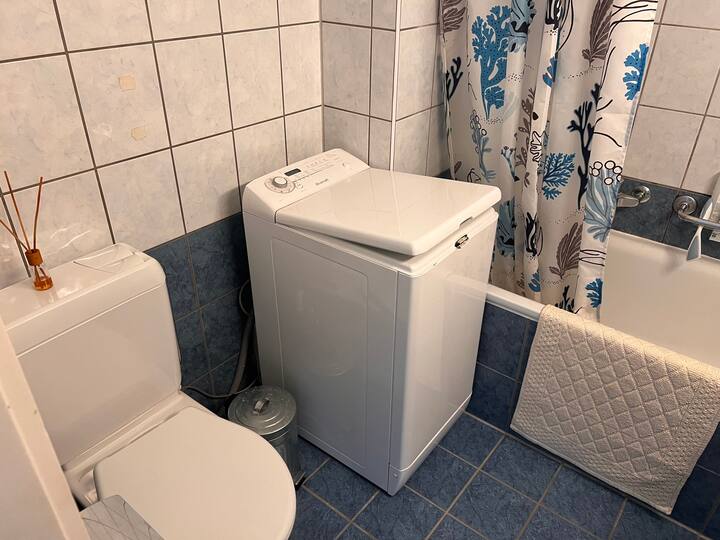 Chambre Chez L'habitant Versoix 258647