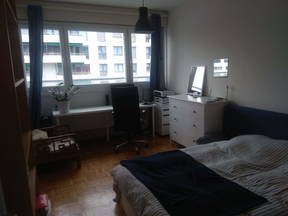 Spacious room in a quiet and comfortable apartment