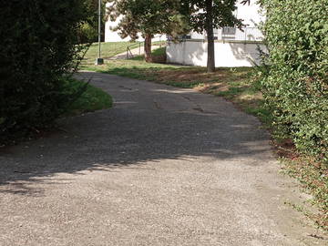 Chambre chez l'habitant à louer à Toulouse - photo 13 : jardin-13