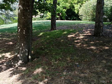 Chambre chez l'habitant à louer à Toulouse - photo 14 : jardin-14