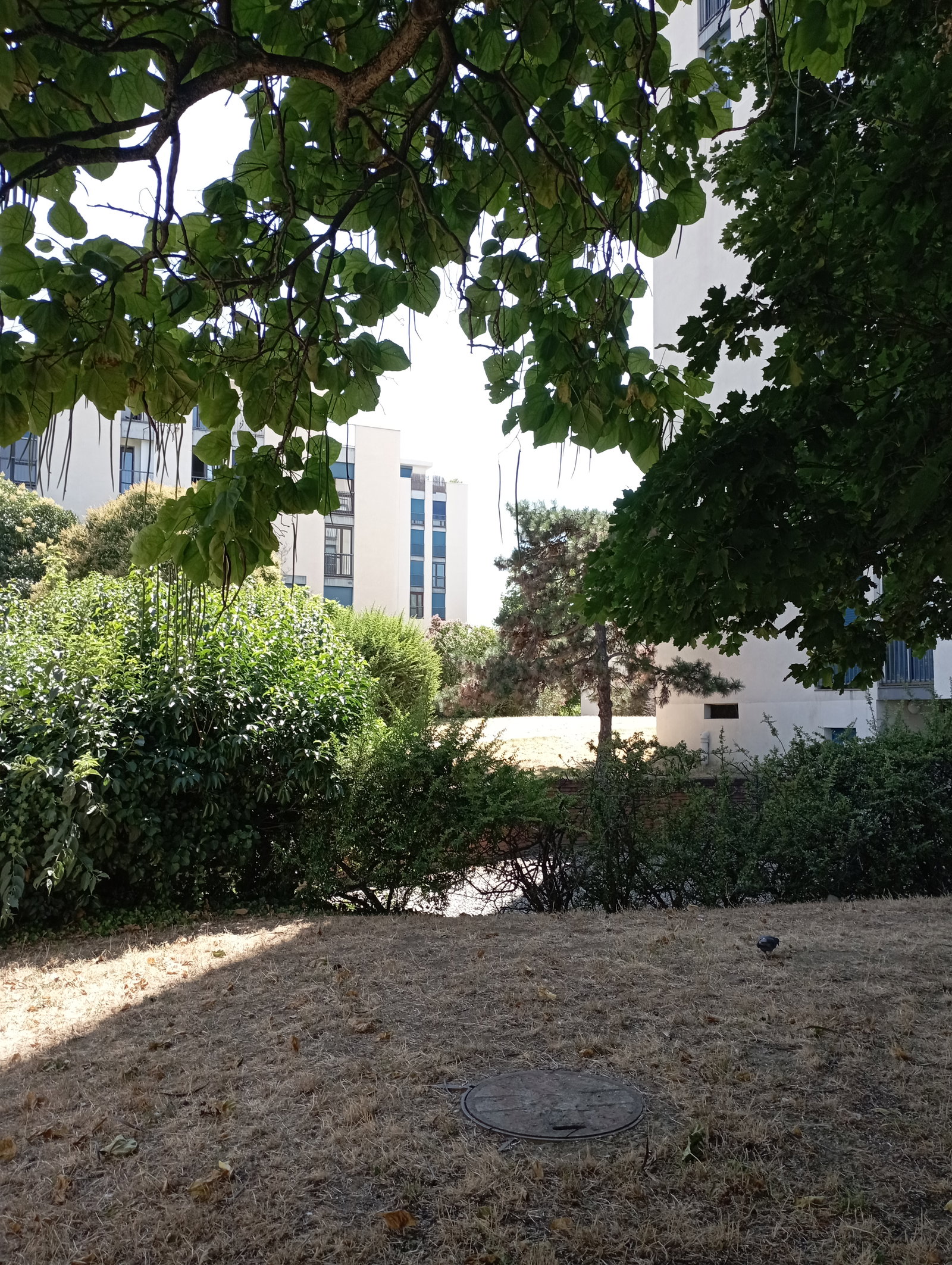 Homestay Toulouse 257829