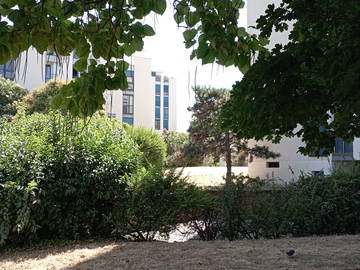 Chambre chez l'habitant à louer à Toulouse - photo 19 : jardin-19