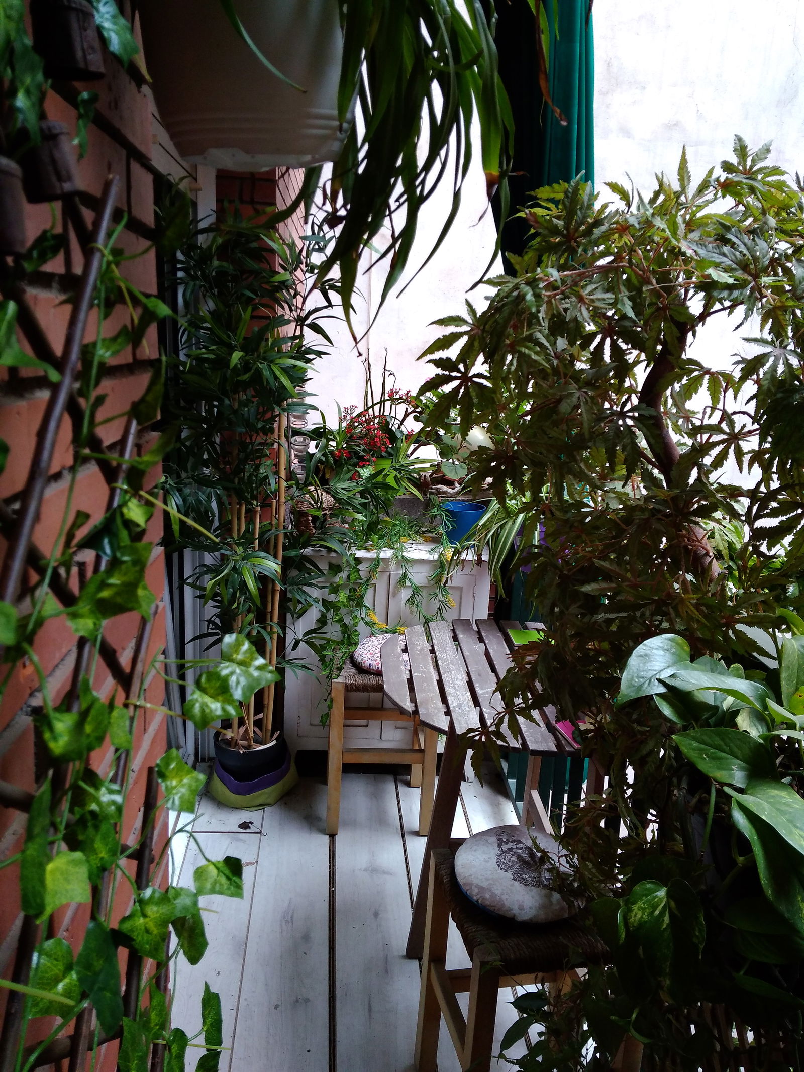 Chambre Chez L'habitant Barcelona 268589