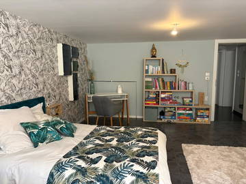 Chambre chez l'habitant à louer à Offendorf - photo 3 : chambre-3