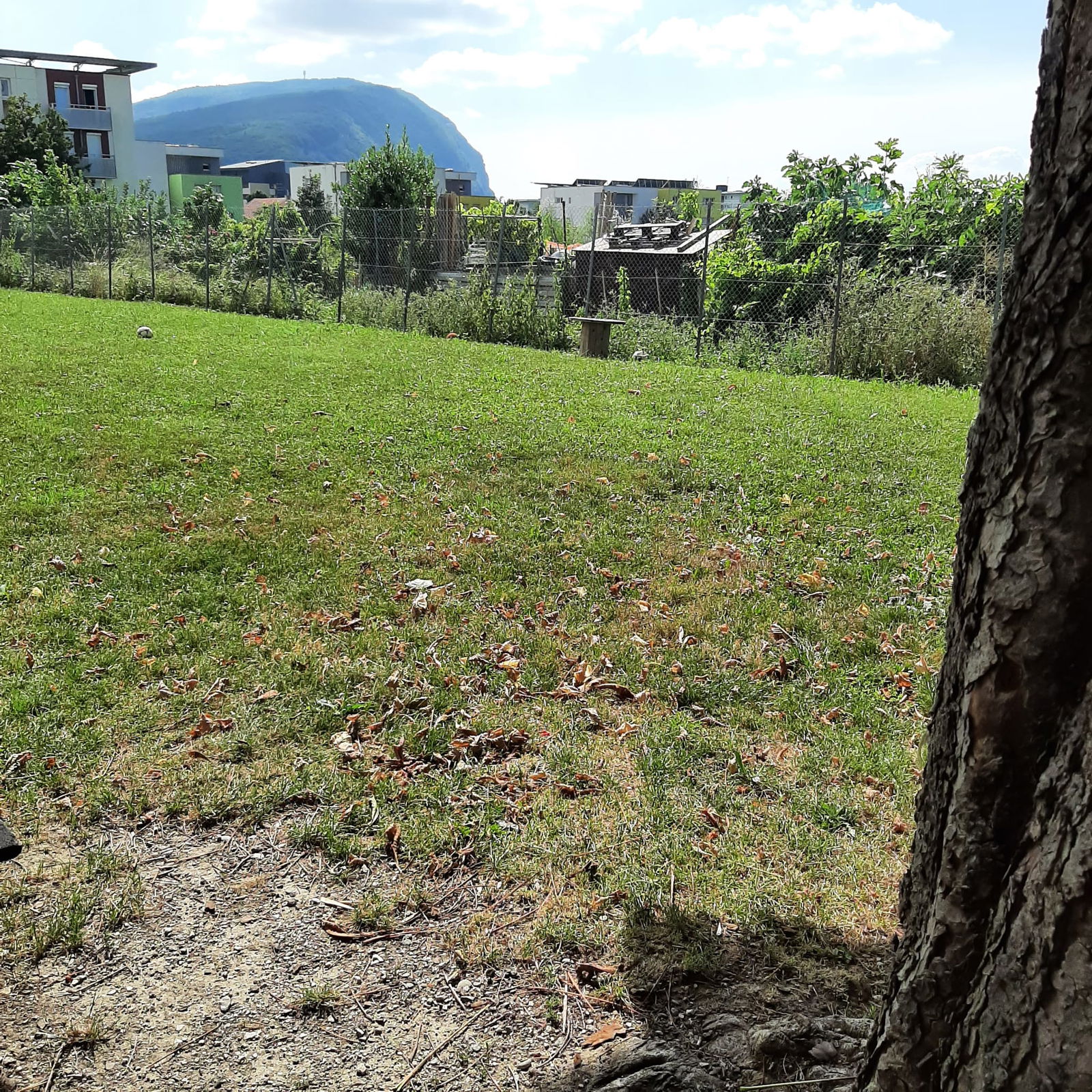 Colocation Annemasse 167345