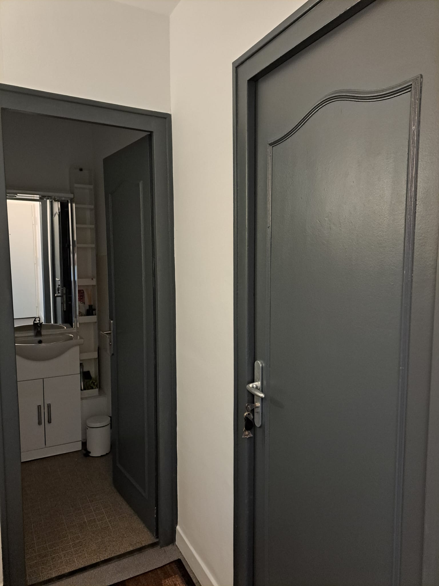 Colocation Annemasse 167345