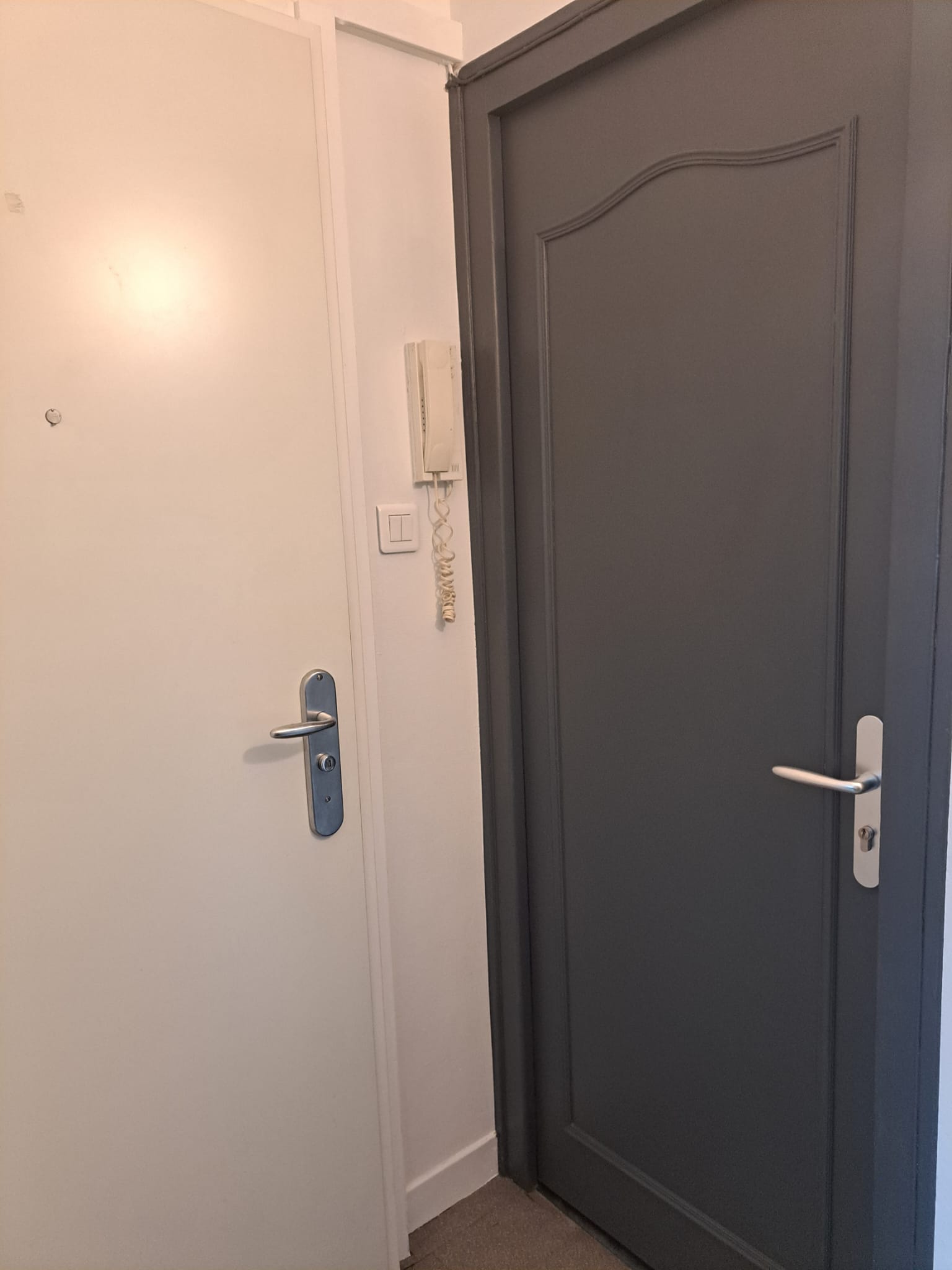 Colocation Annemasse 167345
