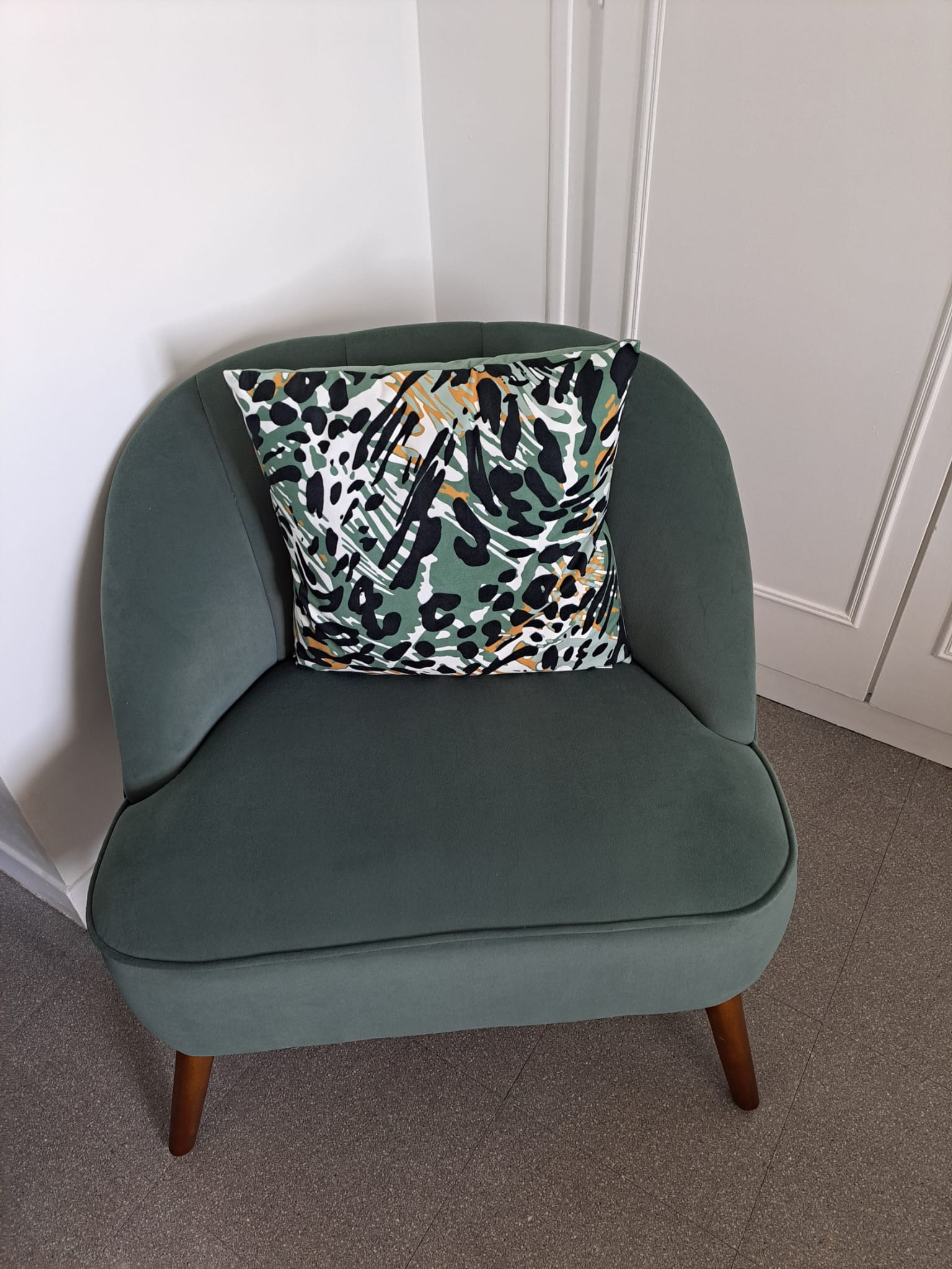 Colocation Annemasse 167345