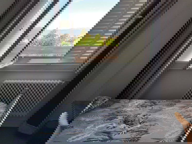 Colocation Annemasse 167345-3