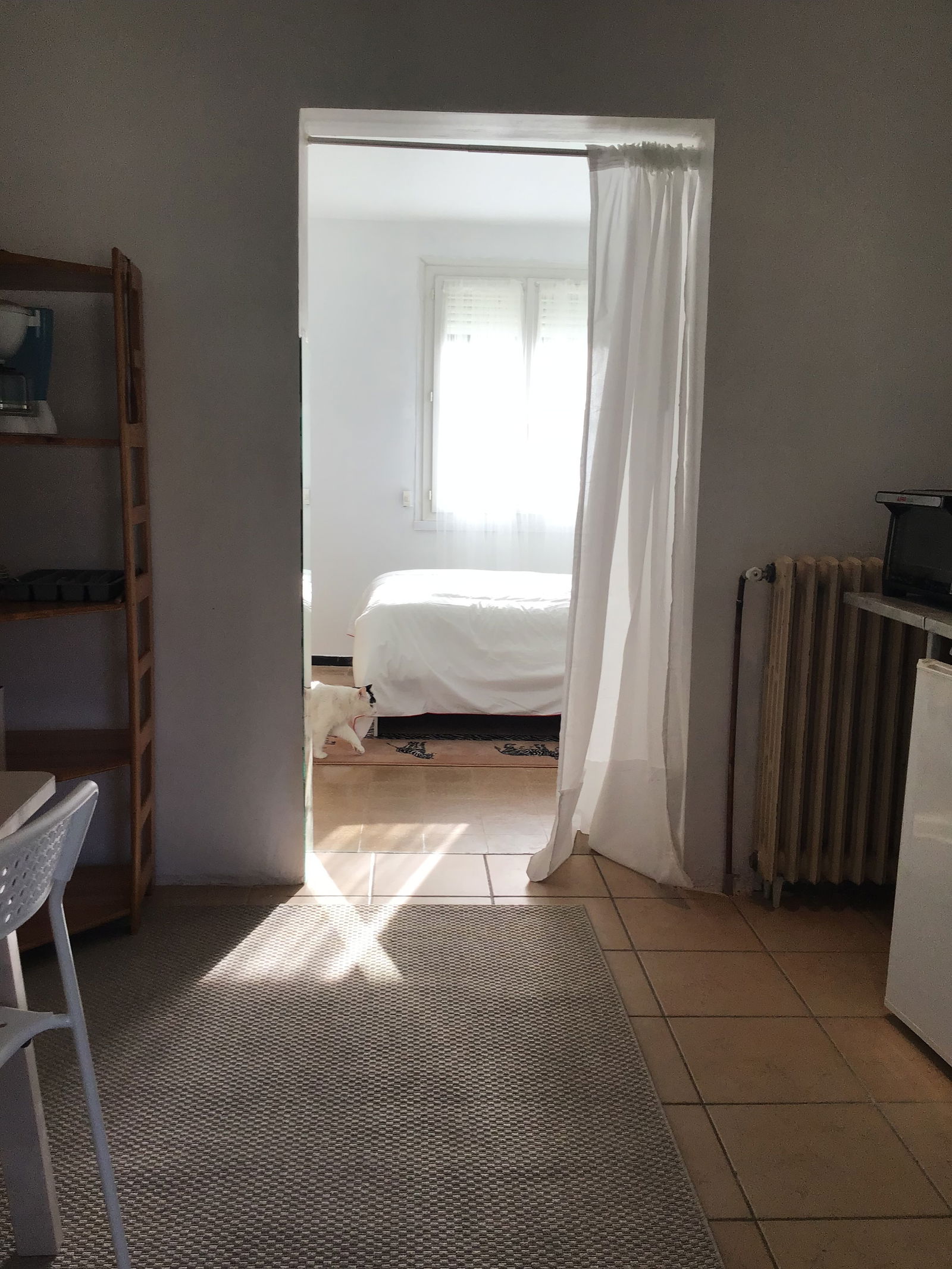 Chambre Chez L'habitant Avignon 231811