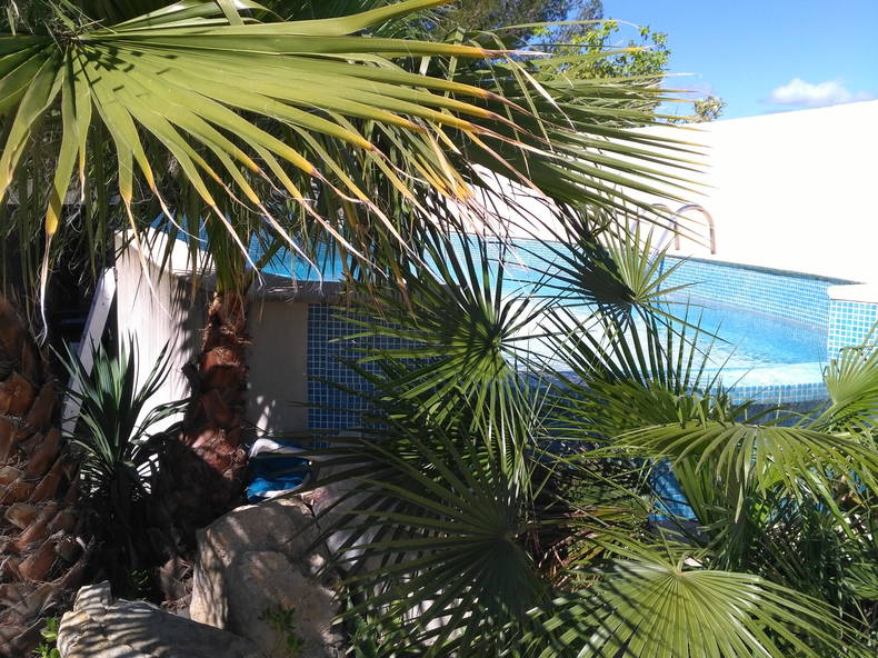 Gastfamilie Juvignac 251924-3